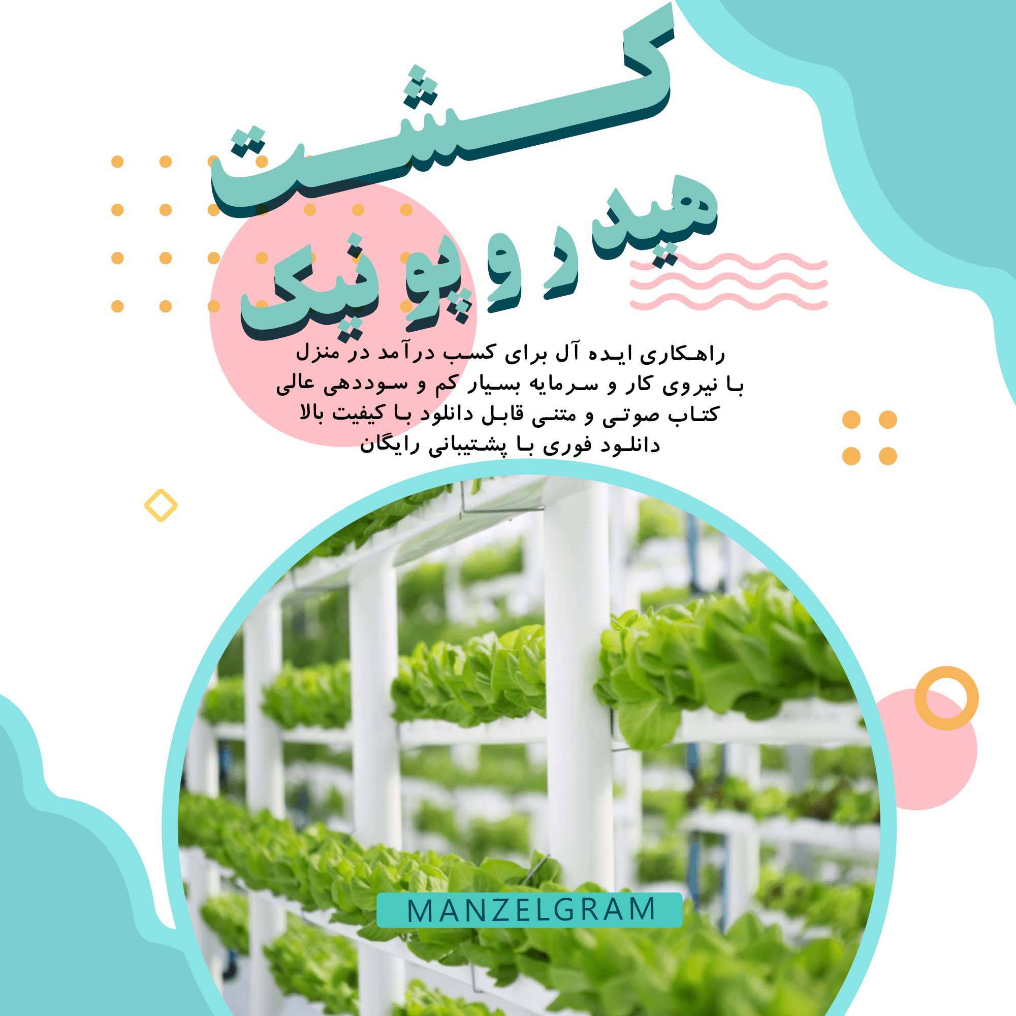 کشت هیدروپونیک 1 کشت هیدروپونیک
