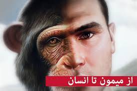 از میمون تا انسان 1 از میمون تا انسان