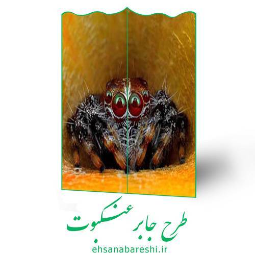 طرح جابر عنکبوت 1 طرح جابر عنکبوت