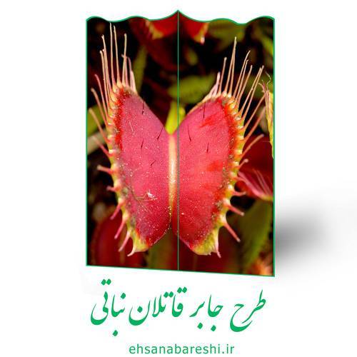 طرح جابر قاتلان نباتی 1 طرح جابر قاتلان نباتی