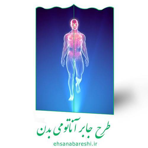 طرح جابر آناتومی بدن 1 طرح جابر آناتومی بدن