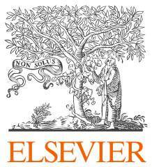 مجموعه 240 مقاله علمی Elsevier 1 مجموعه 240 مقاله علمی Elsevier