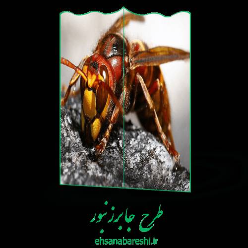 طرح جابر زنبور 1 طرح جابر زنبور
