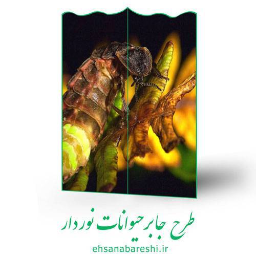 طرح جابر حیوانات نوردار 1 طرح جابر حیوانات نوردار