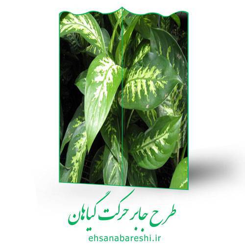 طرح جابر حرکت گیاهان 1 طرح جابر حرکت گیاهان
