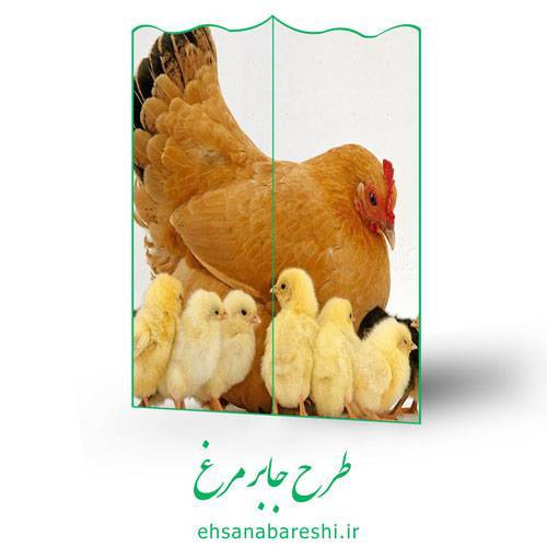 طرح جابر مرغ 1 طرح جابر مرغ