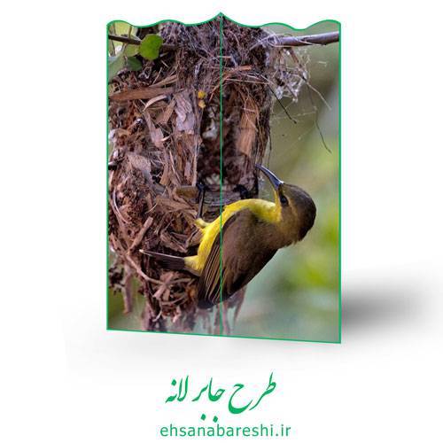 طرح جابر لانه 1 طرح جابر لانه