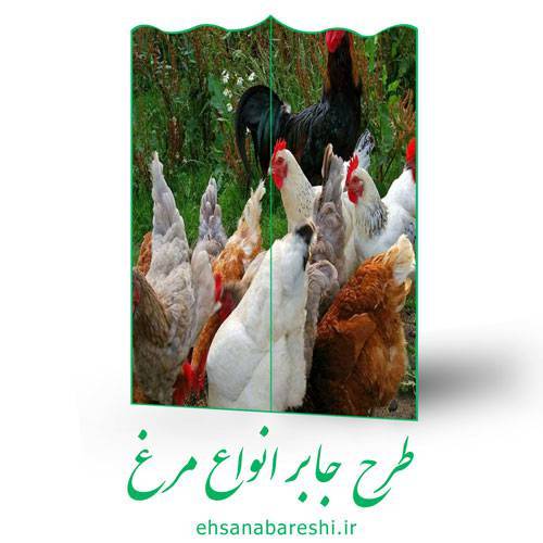طرح جابر انواع مرغ 1 طرح جابر انواع مرغ