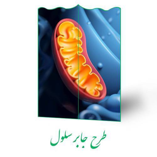 طرح جابر سلول 1 طرح جابر سلول
