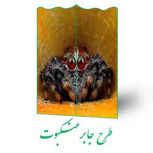 طرح جابر عنکبوت 1 طرح جابر عنکبوت
