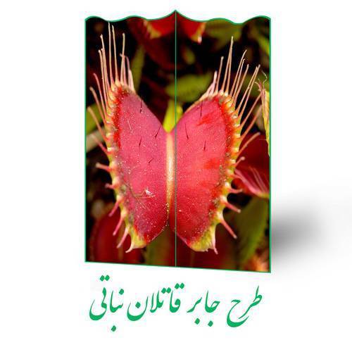 طرح جابر قاتلان نباتی 1 طرح جابر قاتلان نباتی