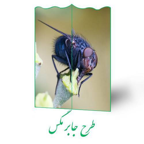 طرح جابر مگس 1 طرح جابر مگس