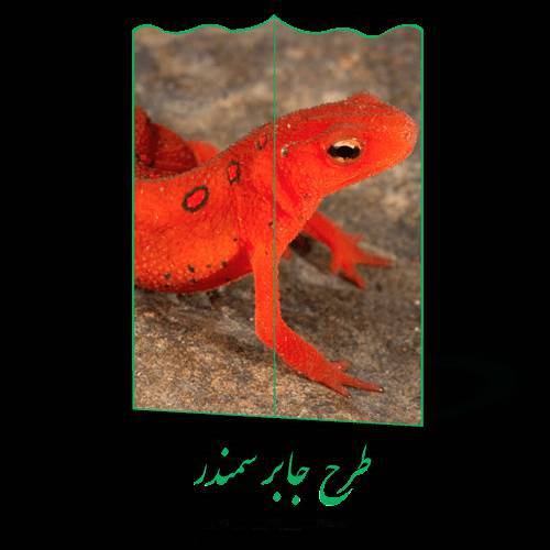 طرح جابر سمندر 1 طرح جابر سمندر