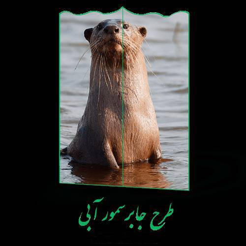 طرح جابر سمور آبی 1 طرح جابر سمور آبی