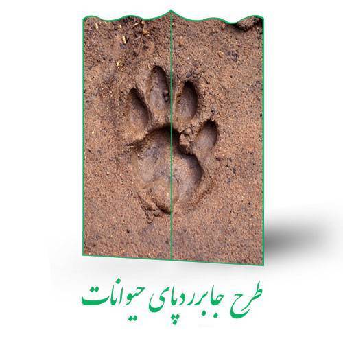 طرح جابر رد پای حیوانات 1 طرح جابر رد پای حیوانات