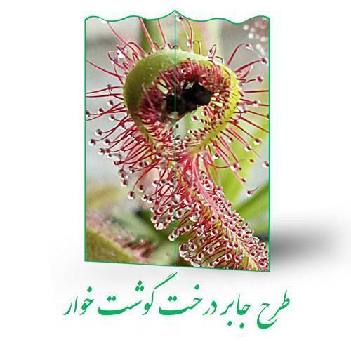 طرح جابر درخت گوشت خوار 1 طرح جابر درخت گوشت خوار