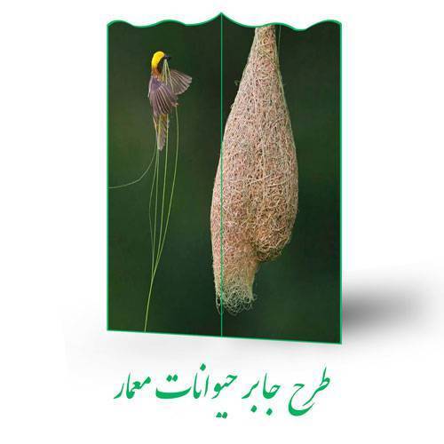 طرح جابر حیوانات معمار 1 طرح جابر حیوانات معمار