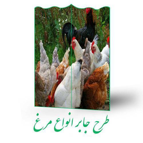 طرح جابر انواع مرغ 1 طرح جابر انواع مرغ